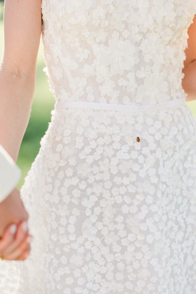Ladybug on floral dress; two people holding hands.