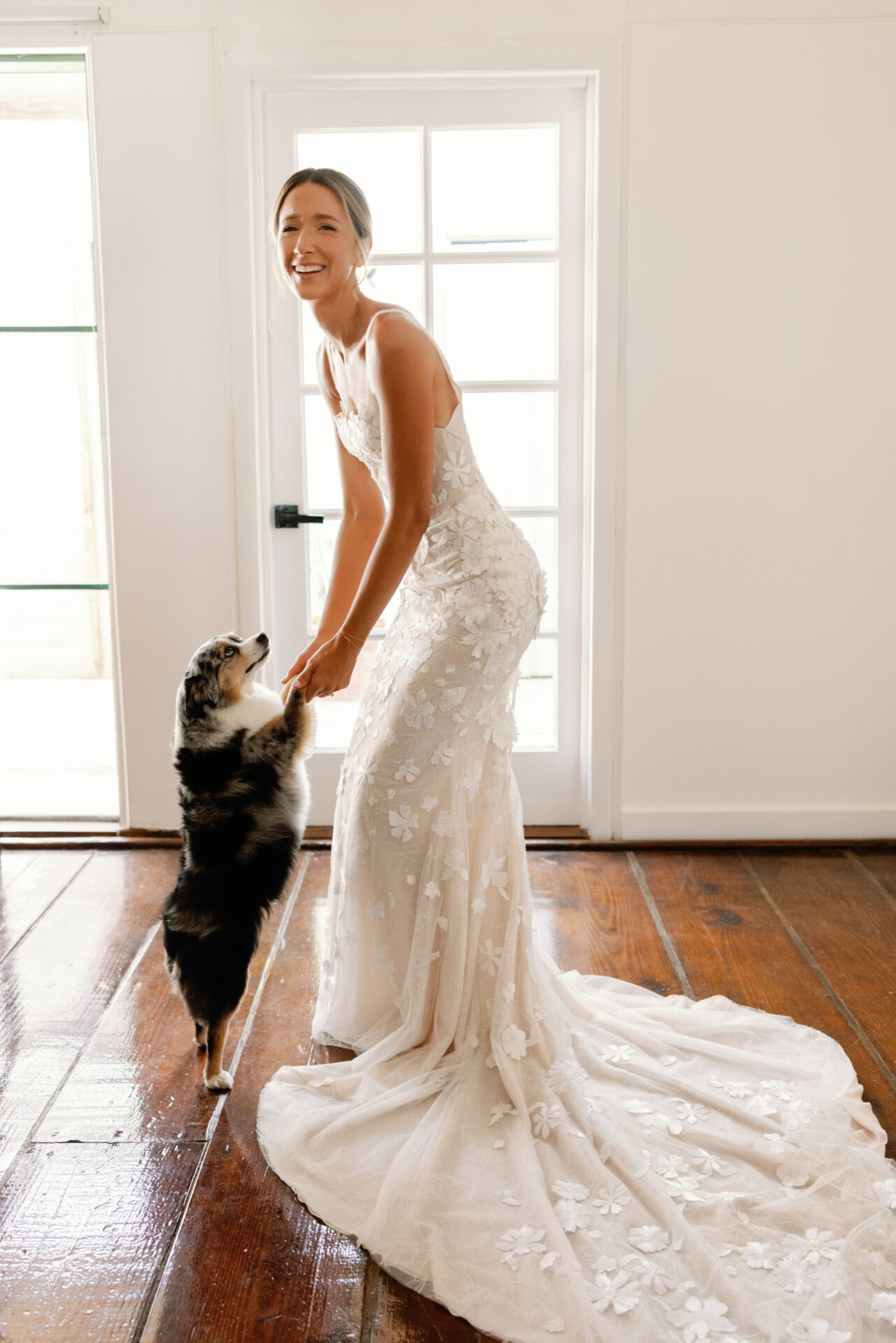 Bride holding paws with small dog indoors.