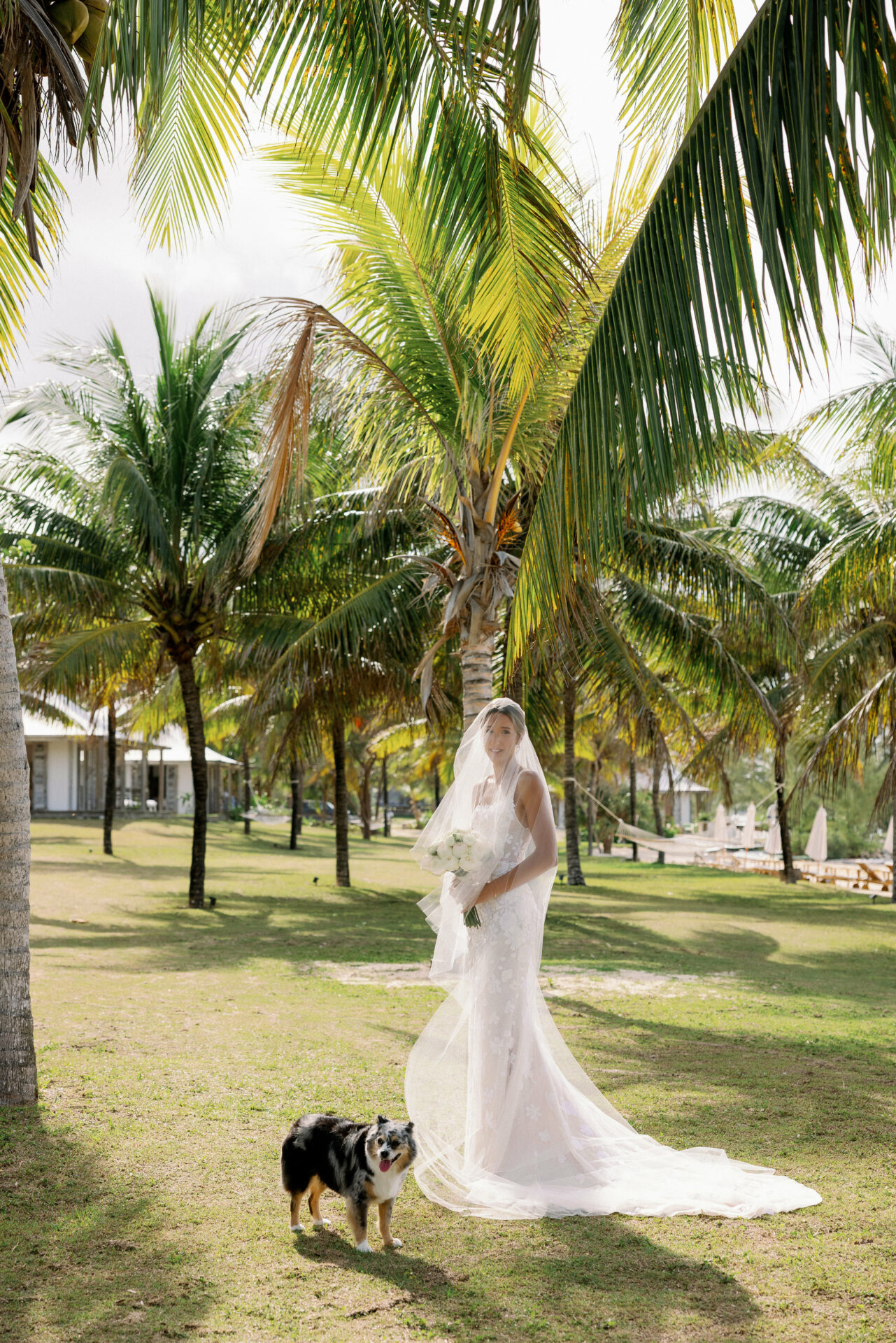 Bride with bouquet and dog under palm trees.