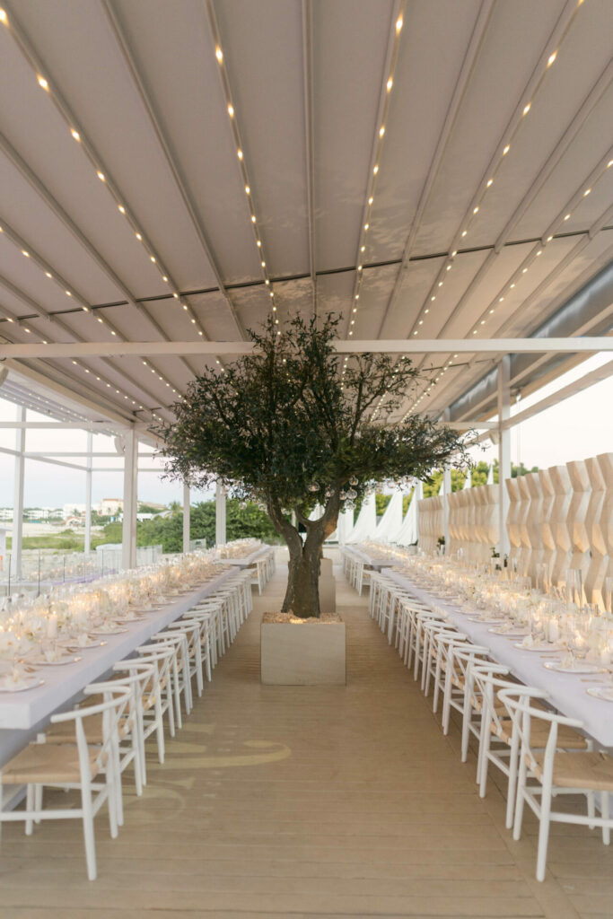 Elegant dining table with canopy, lights, tree centerpiece.