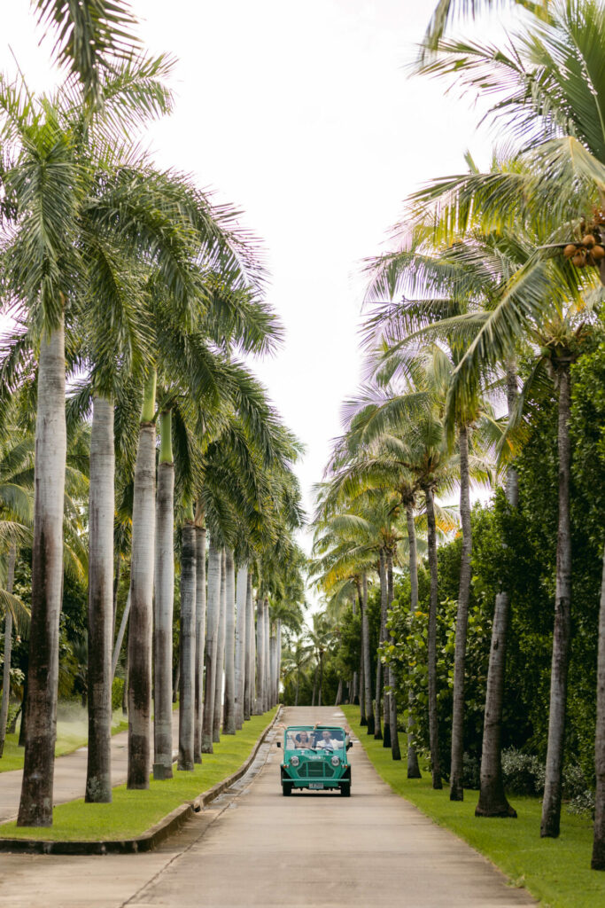 Turquoise vintage car on palm-lined road.