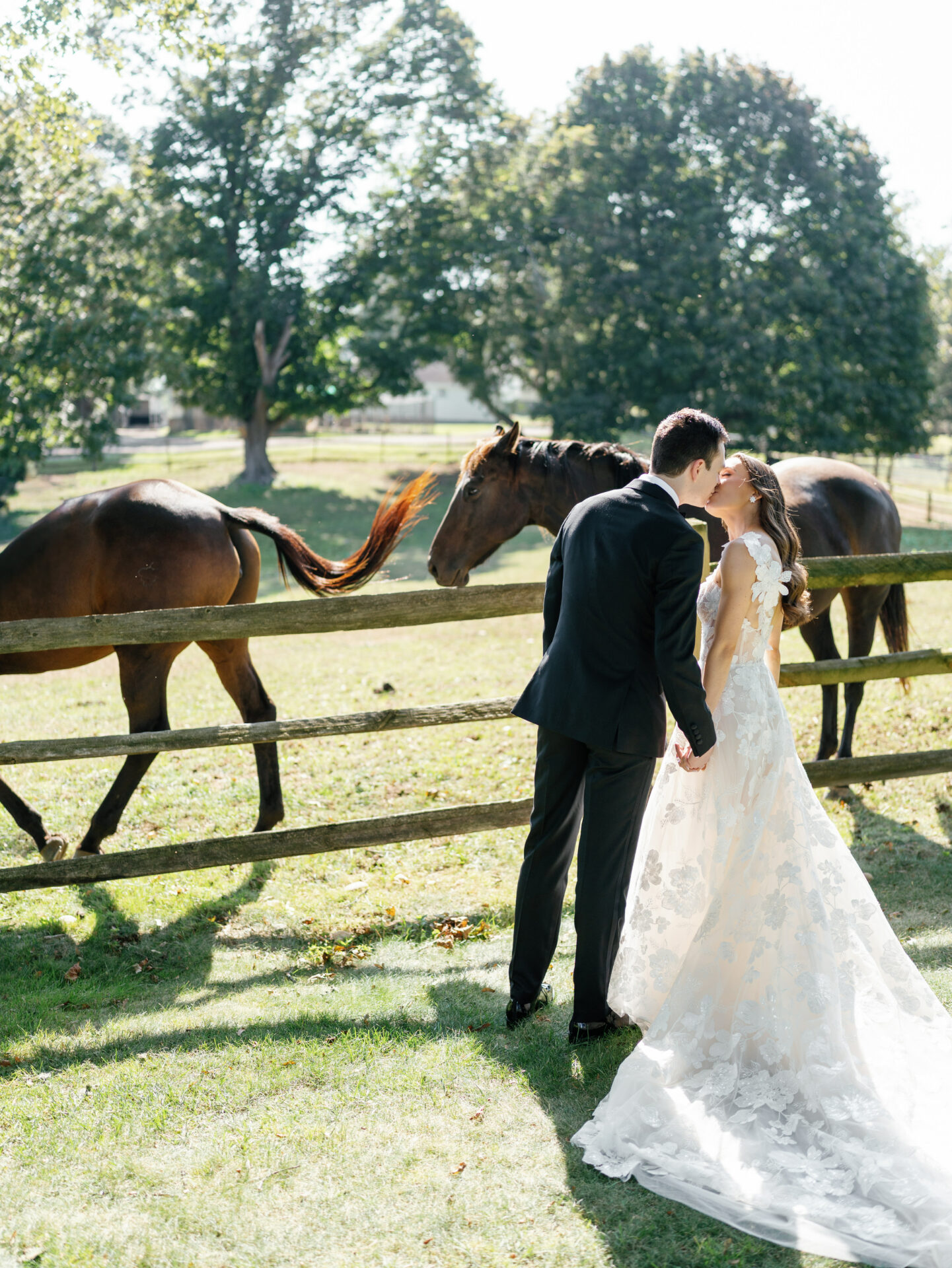 Bride and groom kiss by horses in sunny pasture.