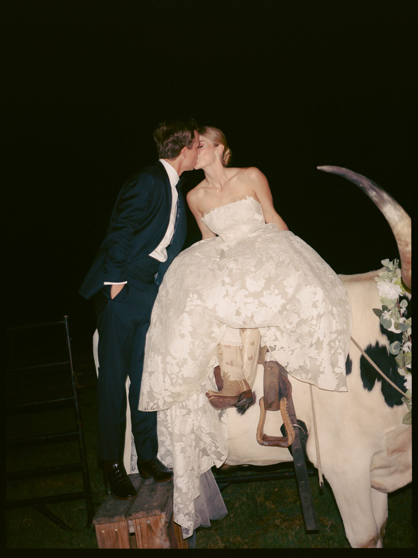 Bride on cow kisses groom on step stool outdoors.