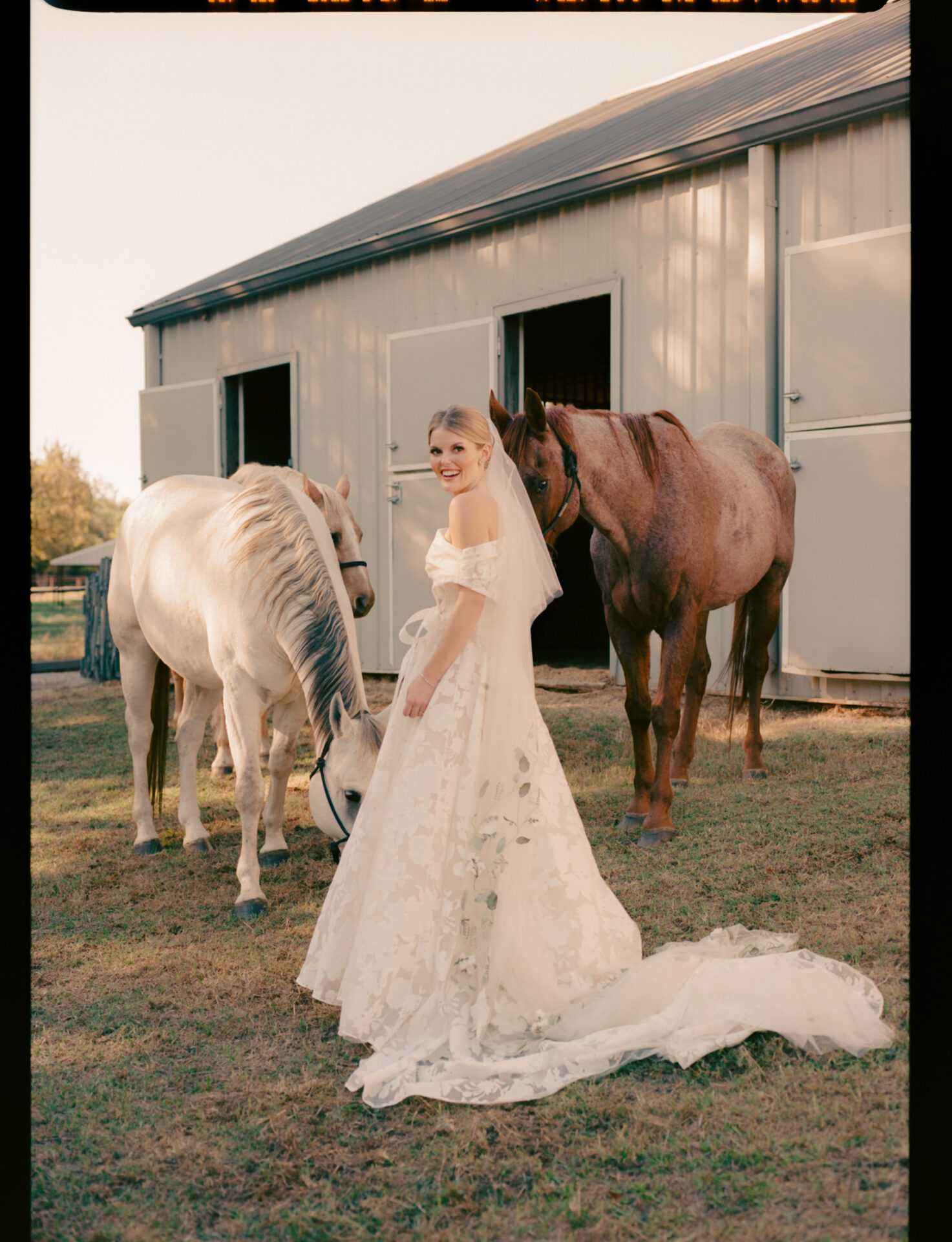 Bride in white dress with two horses outside barn.