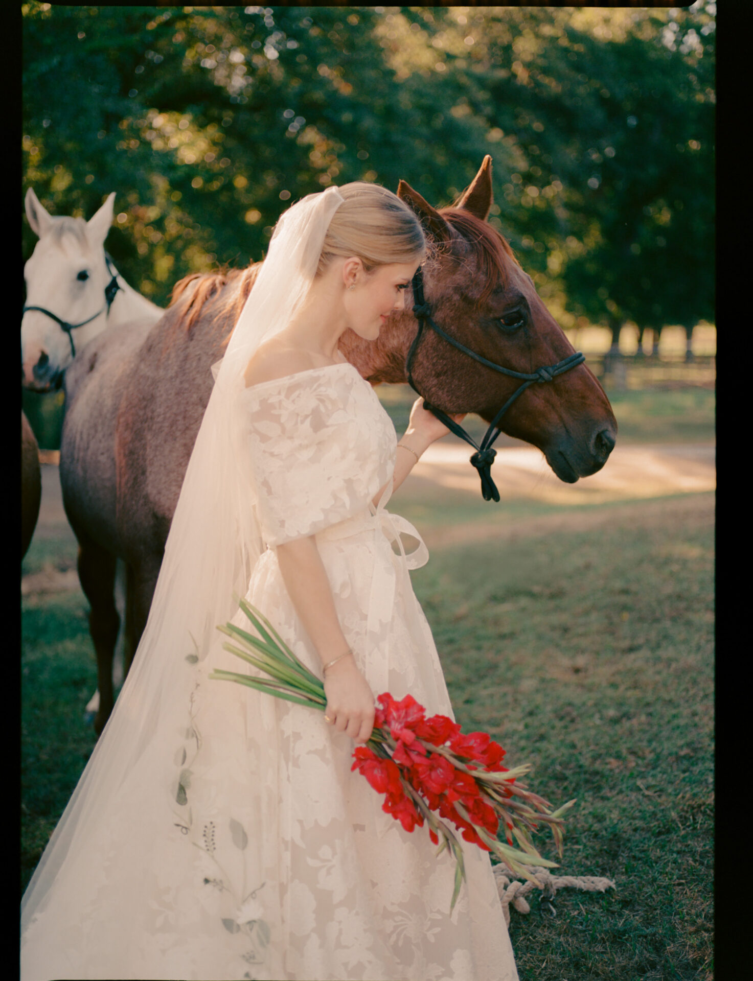 Bride in white with horses, sunlight and trees.