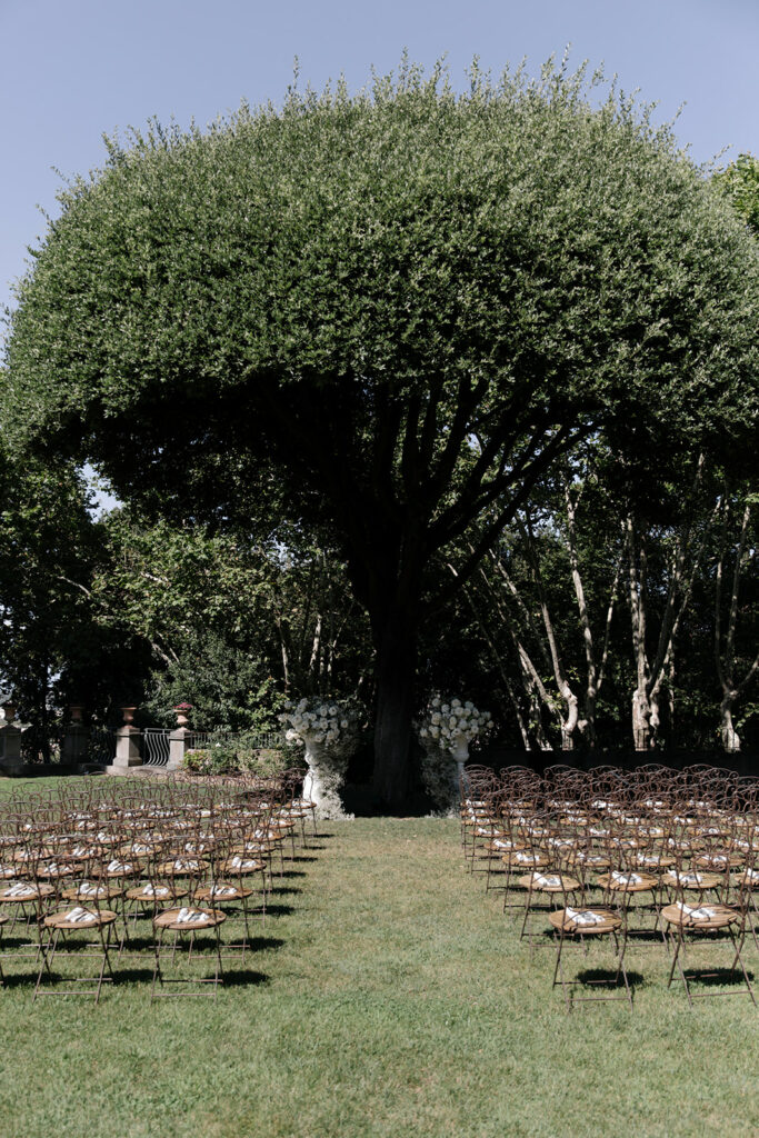 Empty chairs face flowered tree, outdoor wedding setup.