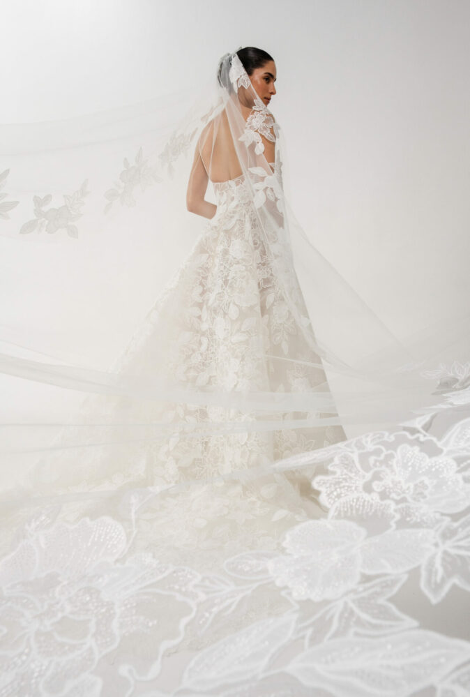 Sui veil