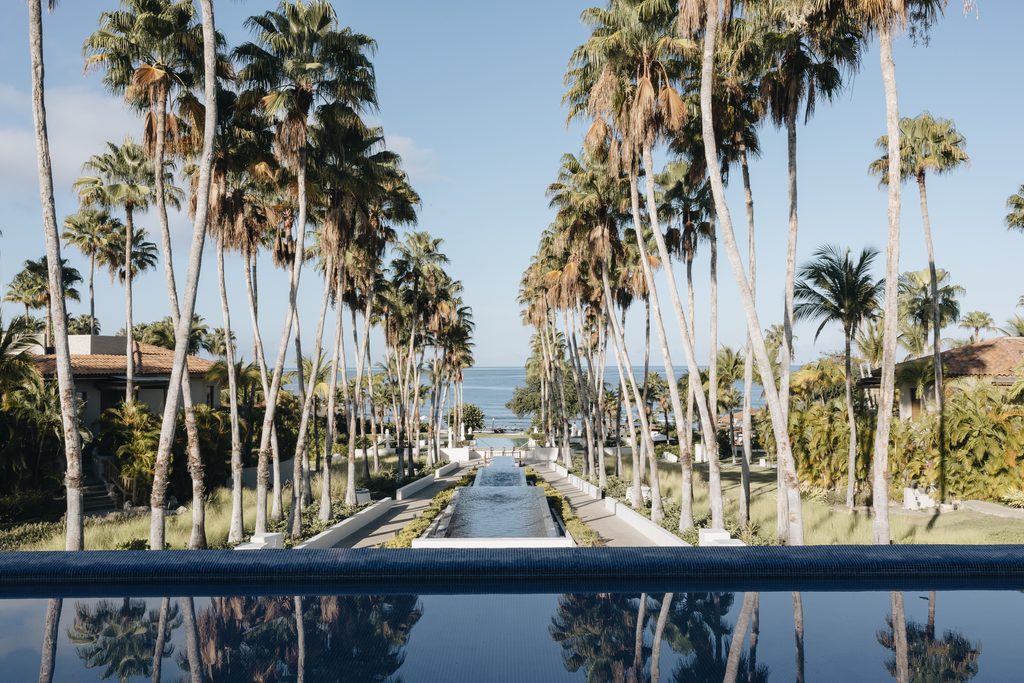 Long pool, palm trees, ocean view, tropical gardens.